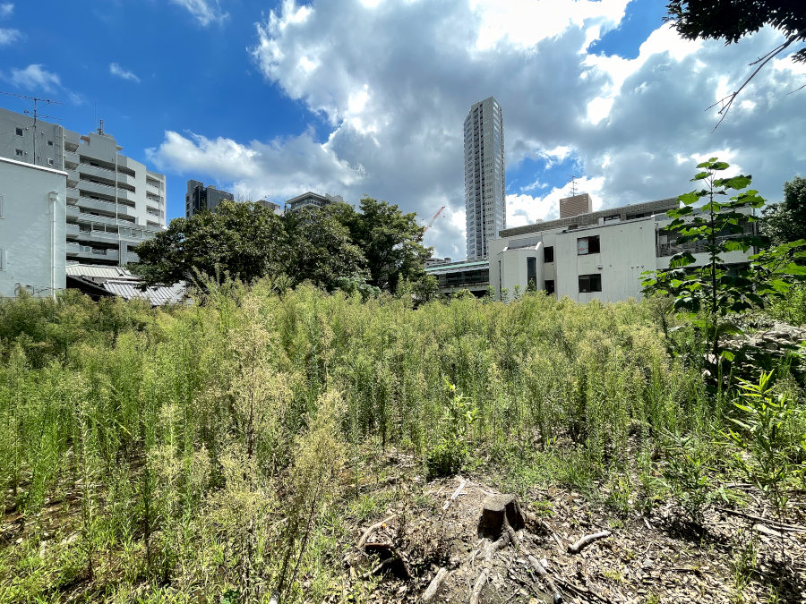 【東京23区】東通不動産投資、港区白金台で共同住宅を計画